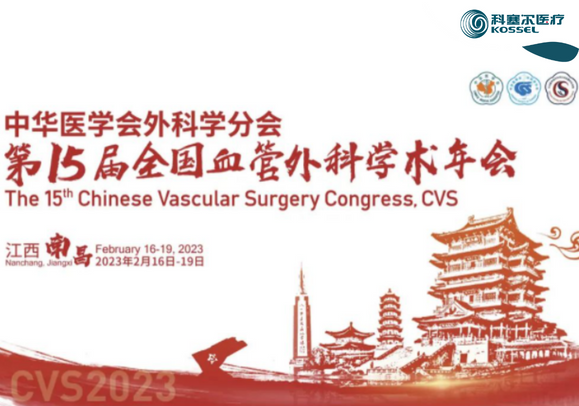 精彩回顾丨中华医学会外科学分会第15届全国血管外科学术年会隆重举办！